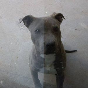 Meet your Posher, Dionne